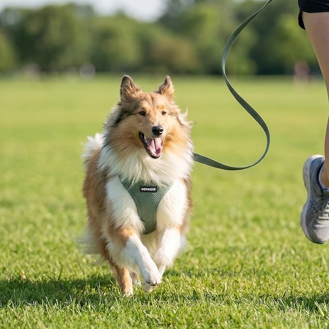 Best Pet Supplies Voyager Step-in Air All Weather Mesh Harness and Reflective Dog 5ft Leash Combo with Neoprene Handle, for Small, Medium and Large Breed Puppies - Set (Moss Green), X-Large