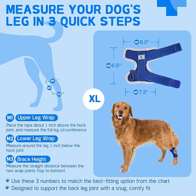 Dog Leg Brace Canine Rear Leg Support, Relieve Pain from Sprains, Arthritis, Enhancing Stability, Helps with Loss of Stability from Arthritis(Blue,S)