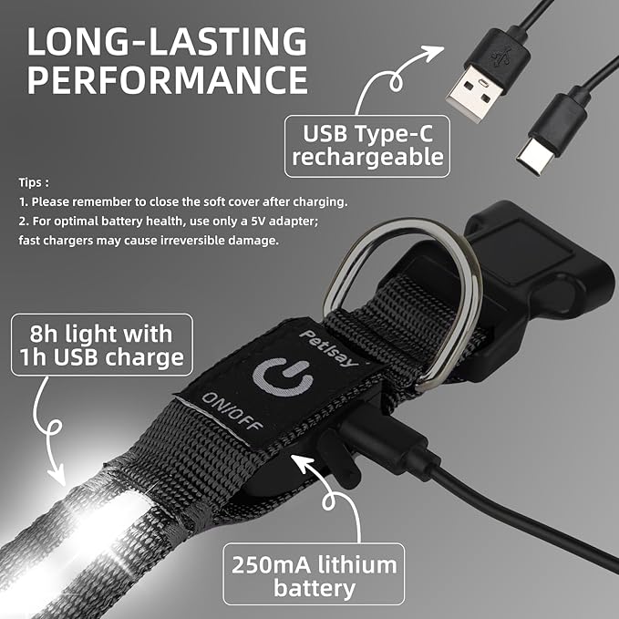 LED Dog Collar for XSmall Dogs & Toy Breeds – USB-C Rechargeable Light Up Dog Collar, Fully Waterproof Adjustable Glow Collar for Night Walking & Safety(White,XS)