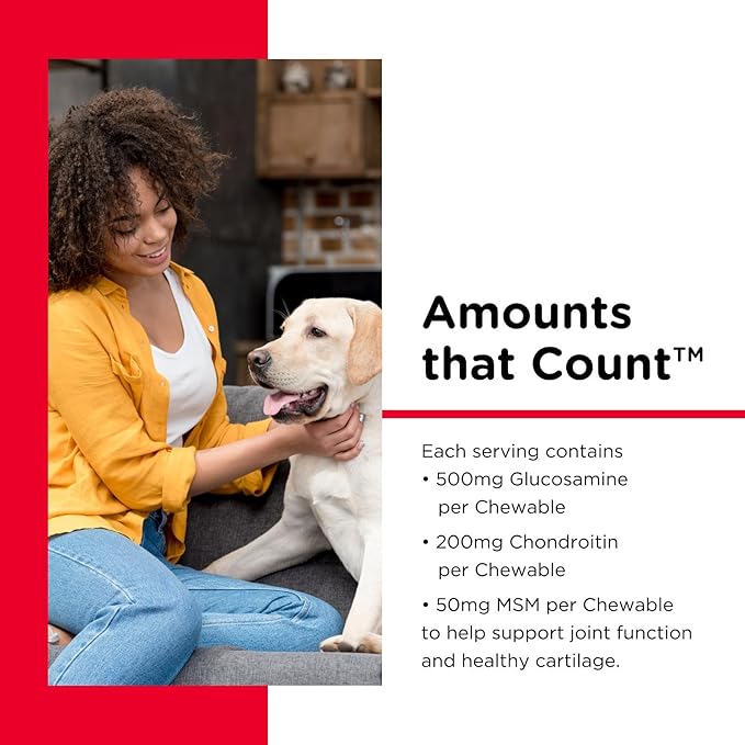 Nutri-Vet Extra Strength Hip & Joint Supplement for Dogs, Puppy Supplements, Dog Joint Supplement, Contains 500mg of Glucosamine, 200mg of Chondroitin, 50mg of MSM, Puppy Essentials, 120 Tablets