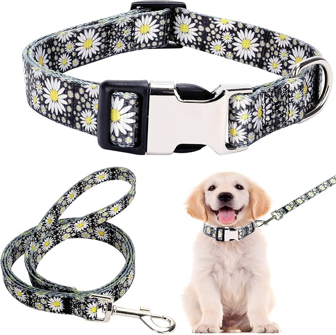 Puppy Collar and Leash Set, Pretty Design Print White Daisy Pattern Pet Collars for Small Medium Large Breed Female Dogs Girls Cats, XS