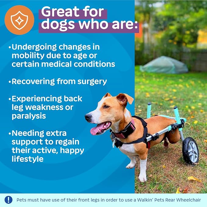 Walkin' Wheels Small Dog Wheelchair, Lightweight Dog Wheelchair for Back Legs, 11-14 lbs, for 9-13 inches Leg Height - Seafoam