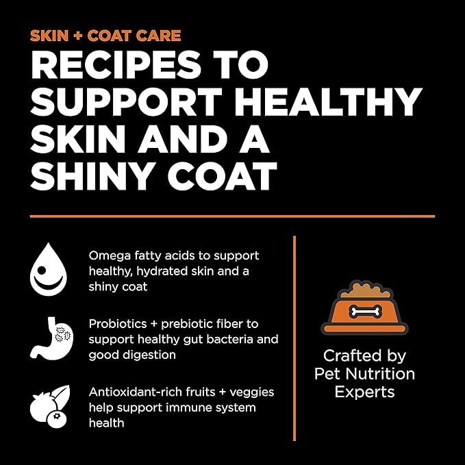 Go! Solutions Skin + Coat Care Salmon Dry Dog Food with Grains, Chicken-Free, Healthy Kibble with Omega-3s & 6s for Soft, Shiny Fur, for Puppies, Adults, & Seniors, 22 lb Bag