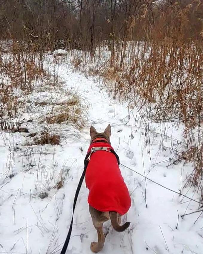 Gooby - Stretch Fleece Vest, Pullover Fleece Vest Jacket Sweater for Dogs, Red, 4X-Large