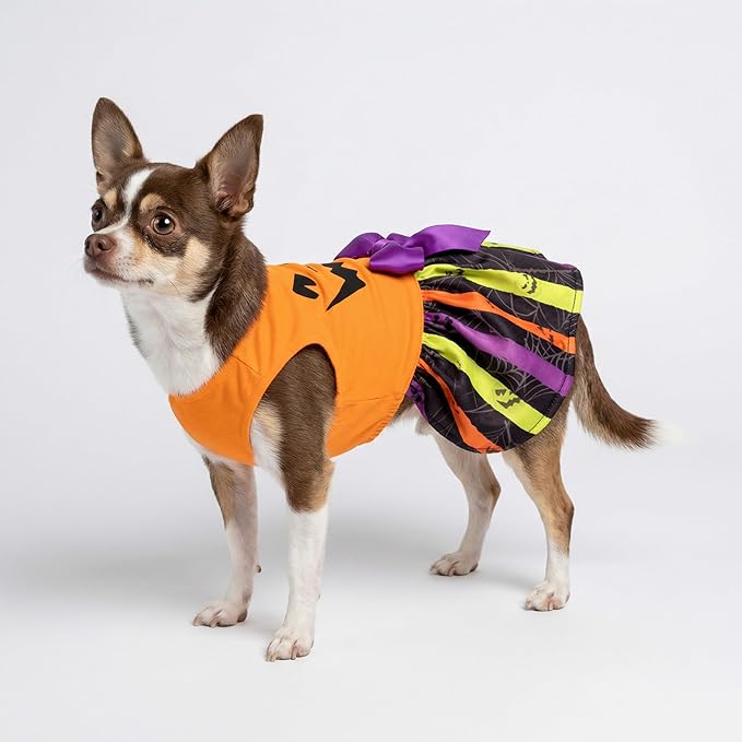 Fitwarm Halloween Pumpkin Dog Dress, Funny Dog Halloween Costumes, Doggy Clothes for Small Dogs Girl, Pet Apparel, Orange, Black, Purple, Small