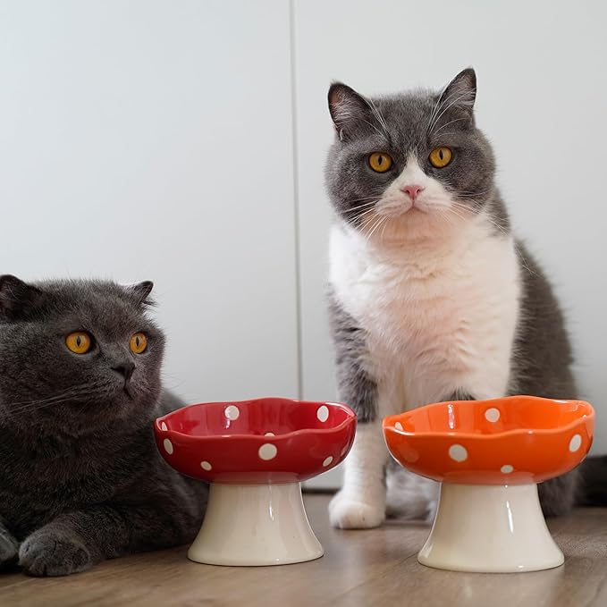 Ceramic Elevated Cat Bowls, Tilted Raised Pet Dish Anti Vomit Kitten Bowl for Indoor Cats, Whisker Friendly Pet Food and Water Bowl for Kitten, Cat, Puppies, Dishwasher Safe (Orange)