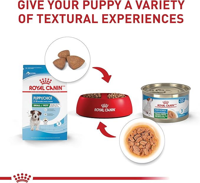 Royal Canin Size Health Nutrition Small Puppy Dry Dog Food, 4 lb Bag