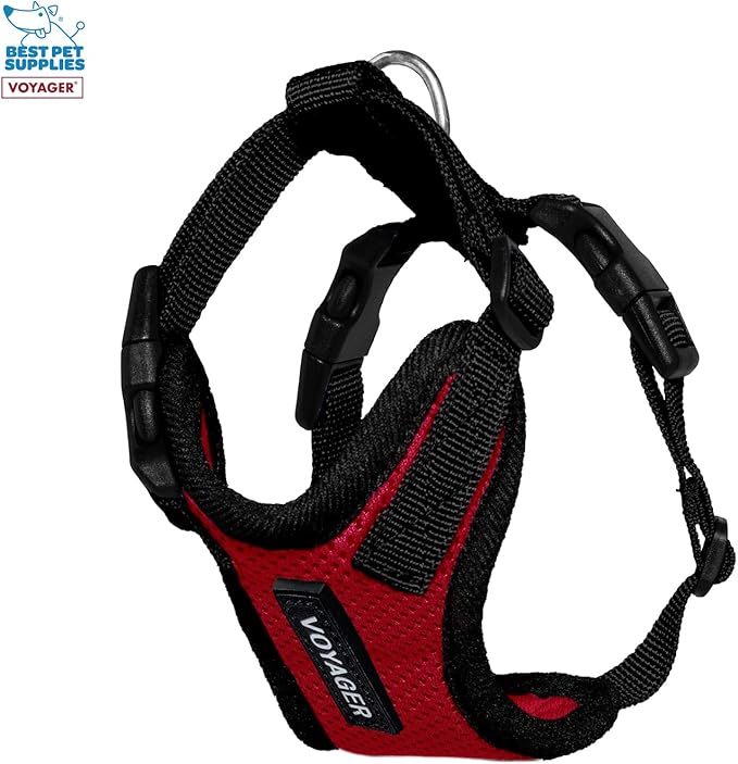 Best Pet Supplies Voyager Step-in Lock Pet Harness w Reflective Pet Leash Combo Set with Neoprene Handle 5ft - Supports Small, Medium and Large Breed Puppies/Cats - Red/Black Trim Set, XXXS