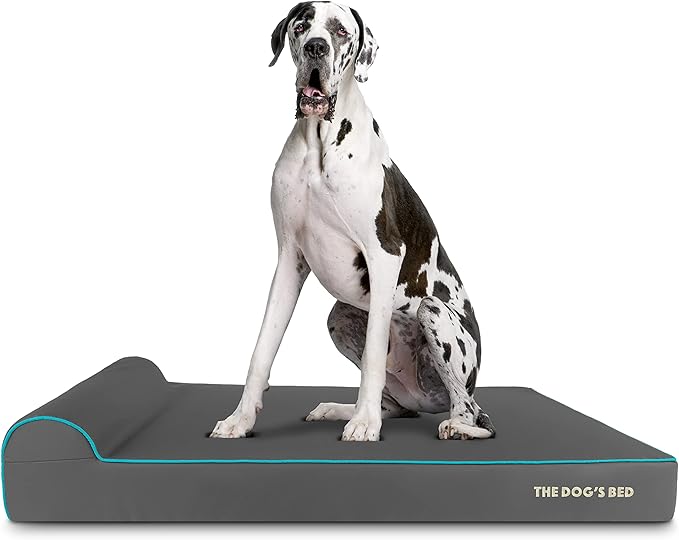 The Dog’s Bed Orthopedic Memory Foam Dog Bed with Headrest, Calming Surface – CertiPUR-Certified Foam, Oxford Fabric, Grey with Blue Trim, XXL, 6-Inch