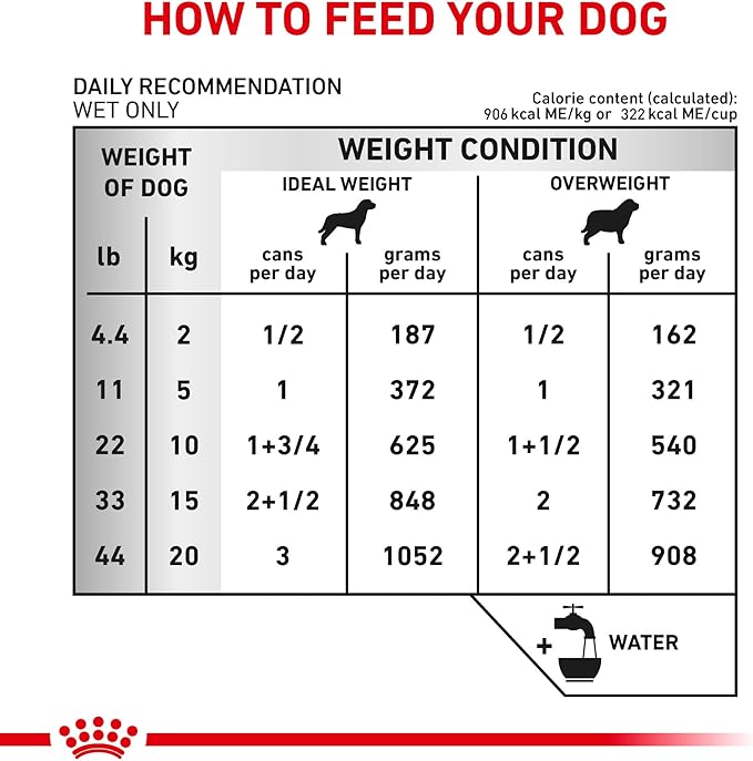 Royal Canin Veterinary Diet Canine Urinary SO Adult Thin Slices in Gravy Dog Food, 12.5 oz (Pack of 24)