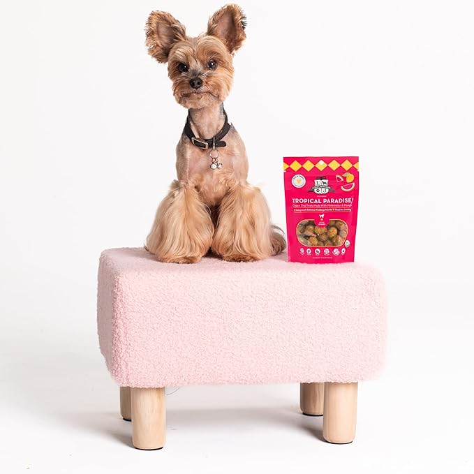 Lord Jameson: Tropical Paradise 3oz - Small Breed Dog Treats - Soft & Chewy, Vitamin-Rich, Training & Little Rewards