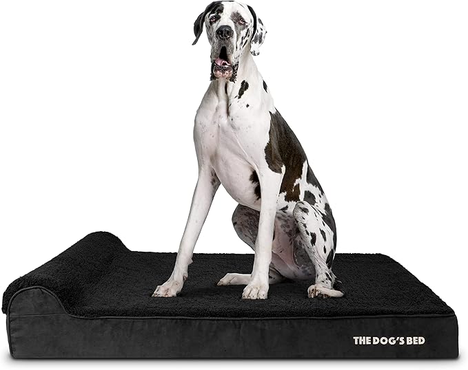 The Dog’s Bed Orthopedic Memory Foam Dog Bed with Headrest, Calming Surface – CertiPUR-Certified Foam, Plush Fabric, Black Plush, XXL, 6-Inch