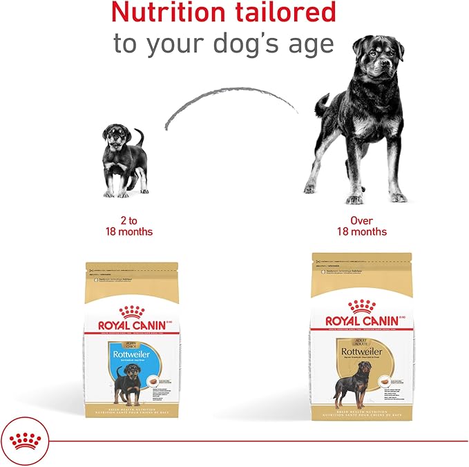 Royal Canin Breed Health Nutrition Rottweiler Puppy Dry Dog Food, 30 lb Bag