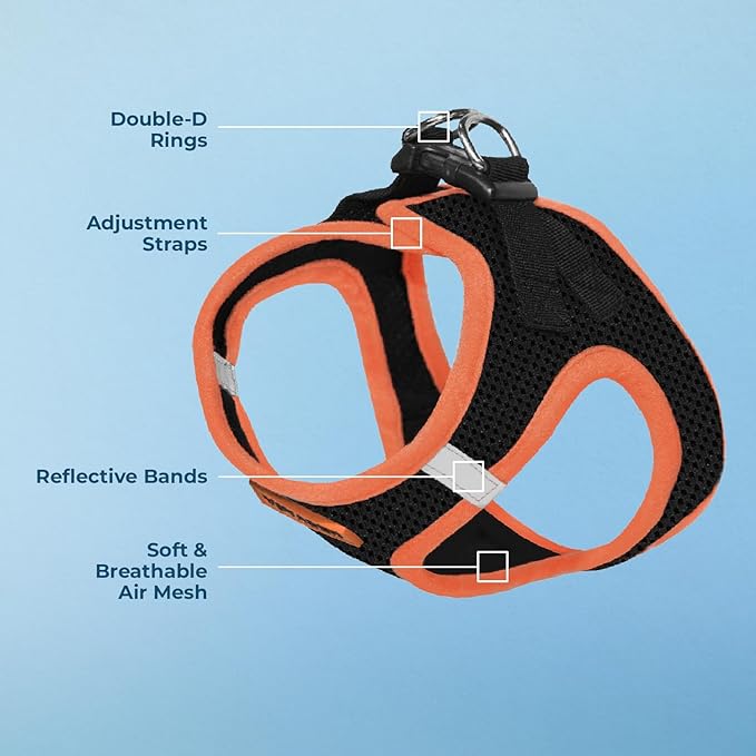 Voyager Step-in Air Dog Harness - All Weather Mesh Step in Vest Harness for Small and Medium Dogs by Best Pet Supplies - Orange Trim, M (Pack of 2)