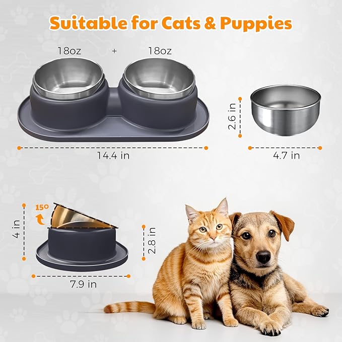Elevated Cat Bowls Set of 2 Stainless Steel Bowl, Small Dog Food and Water Feeder with Non Spill Skid Resistant Mat,Tilted Dog Food Bowls Elevated Anti Vomiting, Ant Proof Cat Food Bowls