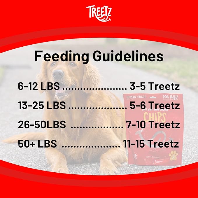 TREETZ Salmon Chips Dog Treats – Lean Protein, Human-Grade, All Natural & Easy to Digest – Soft & Meaty Texture for Training – No Fillers, Preservatives, or Artificial Flavors, 12 oz