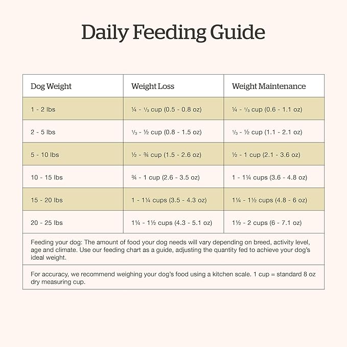 Now Fresh Grain-Free Small Breed Senior Dry Dog Food with Turkey, Salmon & Duck, Premium Kibble with Real Poultry & Fish, Chicken-Free, Added Glucosamine & Chondroitin for Healthy Joints, 12 lb Bag