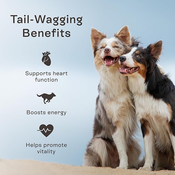 Pawco Dog Treats, Heart – Supports Heart Function & Vitality – Crunchy Dog Cookies with Peanut Butter, Apple & Taurine for Dogs – Functional & Healthy Rewards for Dogs – Magic Cookie – 8.8oz