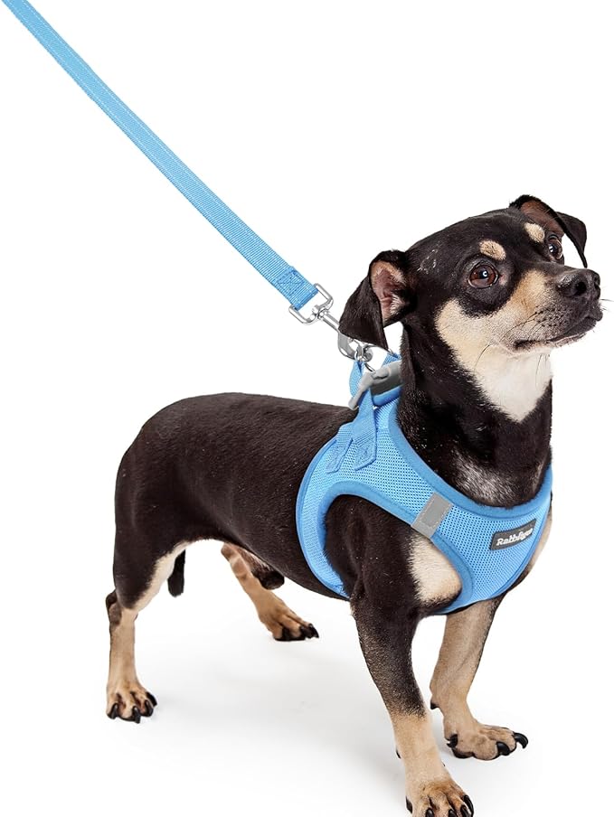 rabbitgoo Dog Harness Small Sized and Leash Set, Step in Soft Light Puppy Vest, Breathable Mesh Pet Harness, Reflective for Safe Easy Walking, Blue XXXS