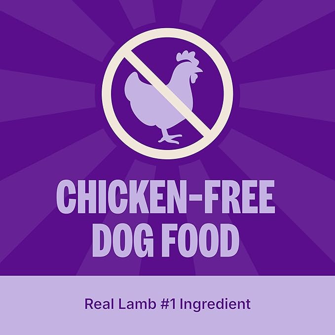 Wellness Simple Limited Ingredient Dry Dog Food for Sensitive Stomachs, Supports Skin & Coat, Wholesome Grains, Natural, Lamb & Oatmeal Recipe, (26-Pound Bag)