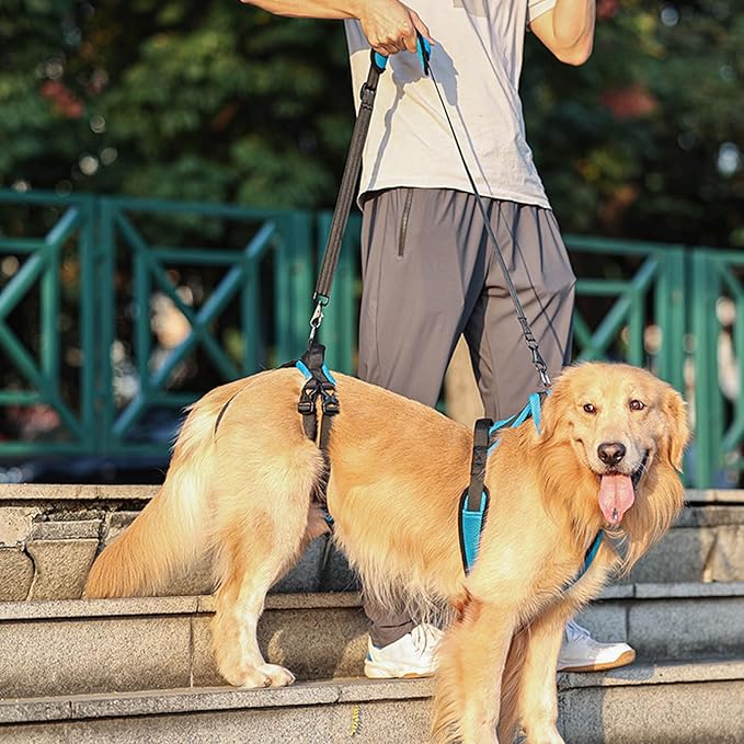 Pet Rehabs Strap for Aging Disabled Dog Nonslip Polyester Senior Dog Mobility Tool for Outdoor Walking Gear Senior Pet Rehabilitation Harness