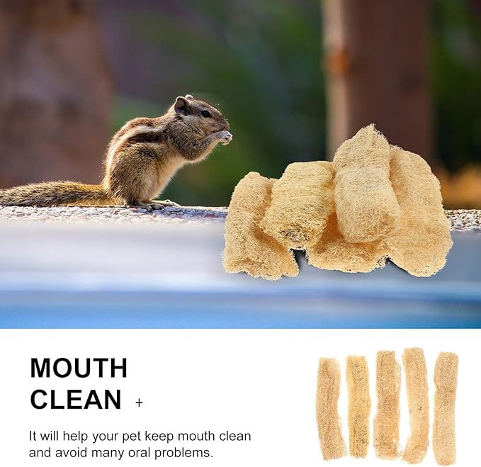 TEHAUX Natural Loofah Chewing Toys 5-Pack for Small Animals Tooth Cleaning and Fur Scrubbing Bath Tools for Guinea Pigs Hamsters Rabbits Safe Teeth Grinding