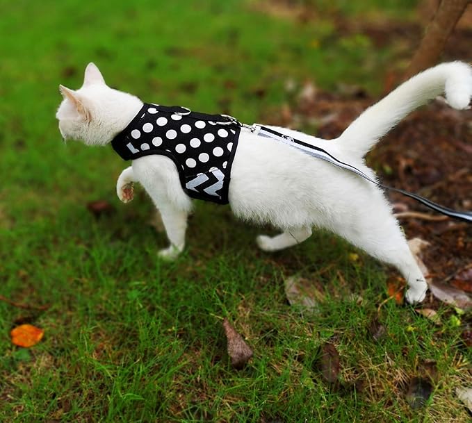 Cat Harness and Leash for Walking Escape Proof, Adjustable Cat Vest Harness, Padded Stylish Cat Walking Jackets, Polka Dot Black, Medium