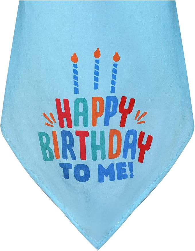 Medium Dog Birthday Cake Hat & Bandana Scarfs Set Blue, Handmade Dog Happy Birthday Hat with Colorful Candles, Medium Dog Birthday Party Supplies Decorations