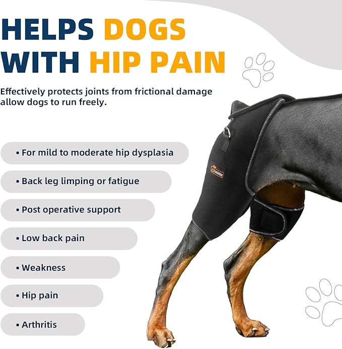 CHAMIN Dog Hip Brace with Back Handheld Design, Support for Hip Dysplasia, Arthritis, Back Leg limping, Reduce Hip Pain & Accelerated Recovery After Surgery etc(Extra Large)