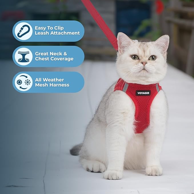 Voyager Step-in Pet Harness - All Weather Mesh, Adjustable Step in Harness for Cats and Dogs by Best Pet Supplies - 307S Red, XS