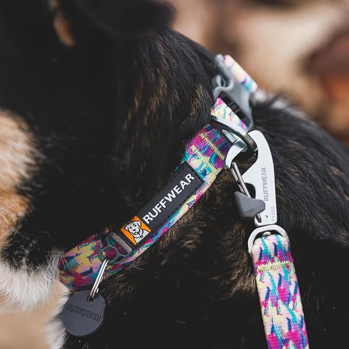 Ruffwear, Front Range Dog Collar, Adjustable Tubelok Webbing, Lightweight, Side Release Buckle, Aluminum V-Ring, Durable for Everyday Use, Spring Fade, 20"-26"