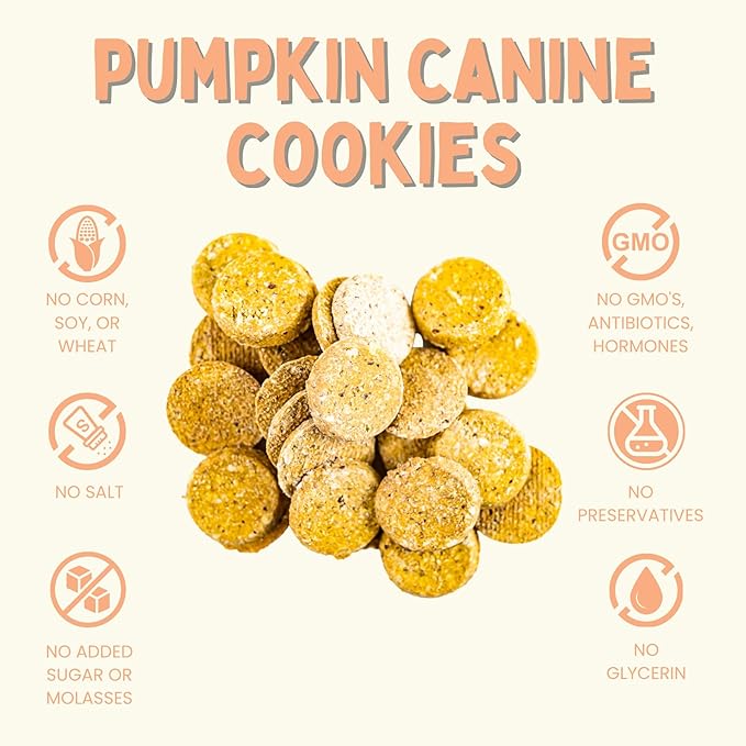 Winnie Lou Organic Dog Treats – Natural Dog Biscuits, USA Made, Organic Ingredients, Clean, Sensative Stomach, All Breed Sizes, High Protein, Hypoallergenic, Pumpkin Apple Canine Cookies (Pack of 2)