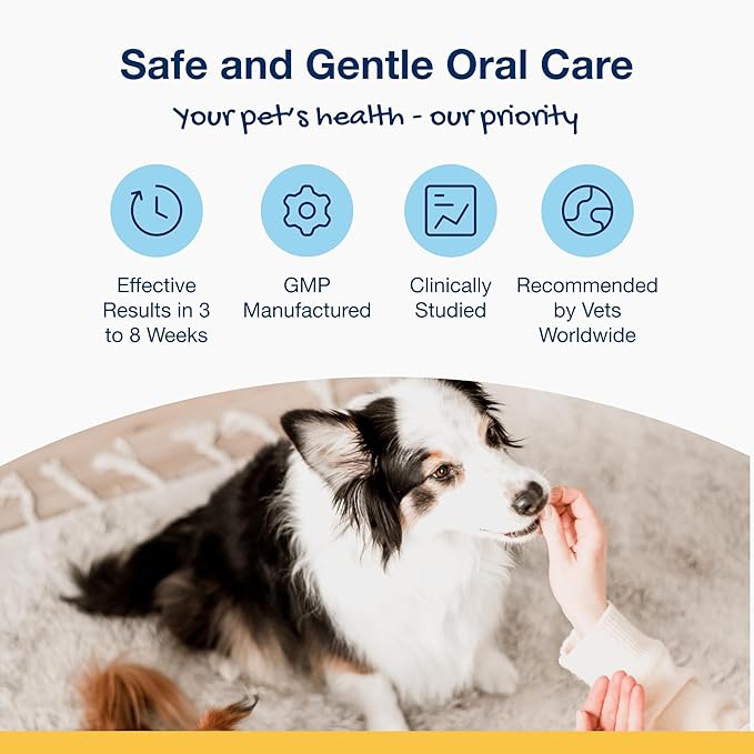 ProDen PlaqueOff Scoopables - Hickory Smoked Bacon Flavor Dental Bites for Small Dogs, Natural Kelp for Plaque & Tartar Control, Freshens Breath - Small & Medium Breed Dental Care- 45 Scoops
