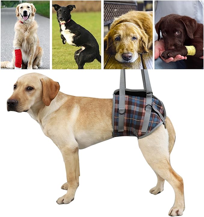 Dog Lift Harness, Adjustable Rear Leg Support Sling with Breathable Polyester, Mobility Aid for Disabled and Senior Dogs (M (12.5‑20kg / 27.6‑44.1lb Recommended))