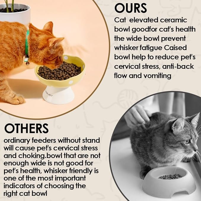 Ceramic Elevated Cat Bowls, Tilted Raised Pet Dish Anti Vomit Kitten Bowl for Indoor Cats, Whisker Friendly Pet Food and Water Bowl for Kitten, Cat, Puppies, Dishwasher Safe (Black)