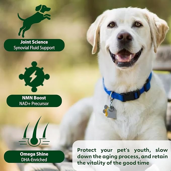 NMN Supplement for Dogs NAD+ Booster - Anti-Aging & Longevity Soft Chews for Senior Dogs with Resveratrol, CoQ10, Glucosamine & Omega-3-3-in-1 Cellular Energy, Joint & Skin Support