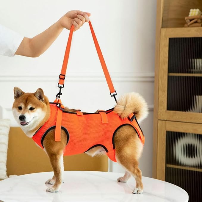 Adjustable Dog Harness for Elderly Pet with Padded Belt and Breathable Design Disabled Lift Slings Rehabilitation Harness