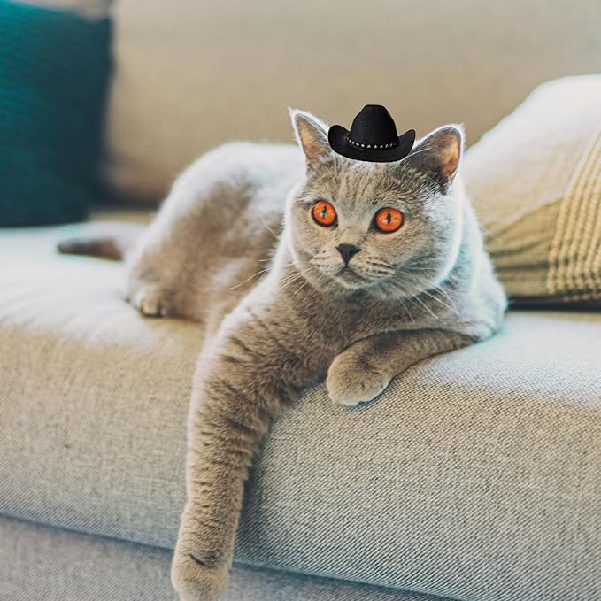 Dog Cowboy Hat Cat Cowboy Hat Pet Cowboy Costume Mini Cowboy Hat for Dogs Cat Holiday Halloween Pet Party Decoration (Black, Small)