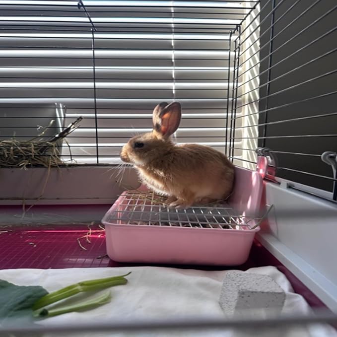 11Pcs Rabbit Litter Box Toilet,Bunny Corner Litter Bedding Plastic Square Grate Guinea Pig Bunny Ferret Hamster Hedgehog, Potty Trainer Bedding Box for Guinea Pig Ferret Hamster Hedgehog (Pink)