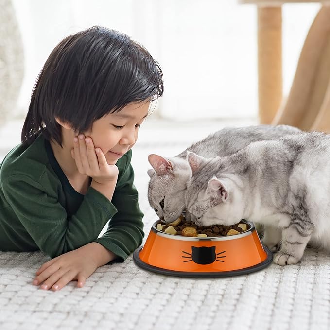 Amylove 6 Pcs Cat Bowls for Food and Water Cat Dishes Stainless Steel Pet Food Bowls 7 oz Anti Slip Metal Pet Dish with Removable Rubber Base Thick for Feeding Indoor Kitten Small Dog(Classic Color)