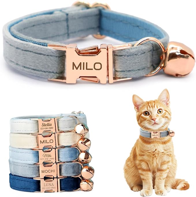 Personalized Non-Breakaway Cat Collar with Name, Luxury Soft Velvet Custom Engraved Name Collar with Bell for Kittens & Cats (Chambray, S (6.5-10.5 inches))