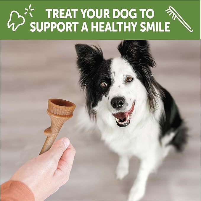 WHIMZEES Wellness Occupy Dog Dental Treats, Medium Size, (12 Count)