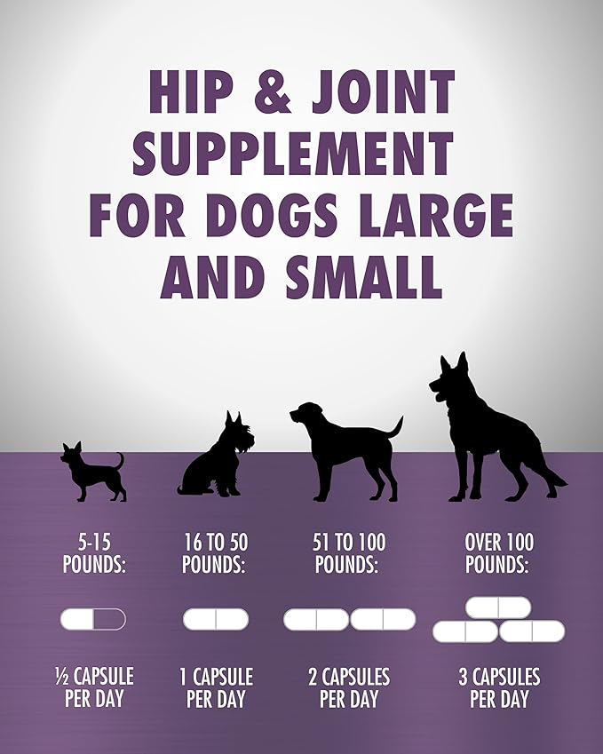 HEALTH DIRECT – RenuVite 4 Dogs | Hip & Joint Supplement for Senior Dogs | Supports Mobility & Energy | Anivestin, Collagen, Aronia Berry, DHEA | 20-120 Servings, 60 Capsules