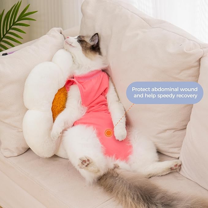 Avont Cat Recovery Suit Female Kitten After Spay Surgery, Breathable Modal Cotton Cat Onesie for Wound & Skin Disease Care, Machine Washable -Rosepink(M)