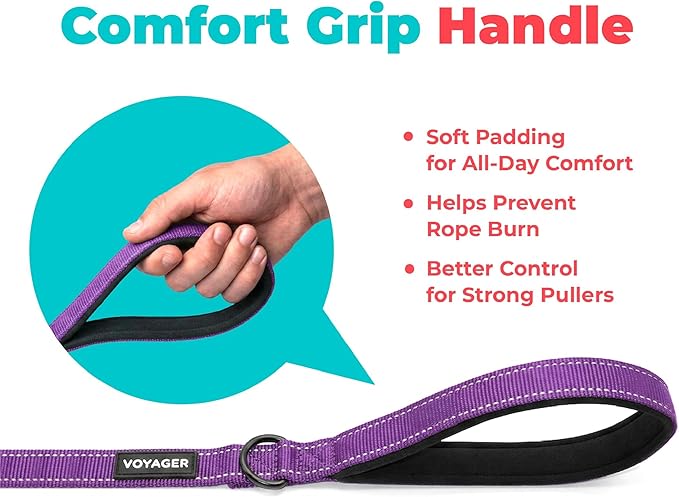Best Pet Supplies Voyager Reflective Dog Leash or Collar with Neoprene Handle, for Small, Medium, and Large Breed Puppies, Cute and Heavy Duty for Walking, Running and Training - Purple (Leash), S