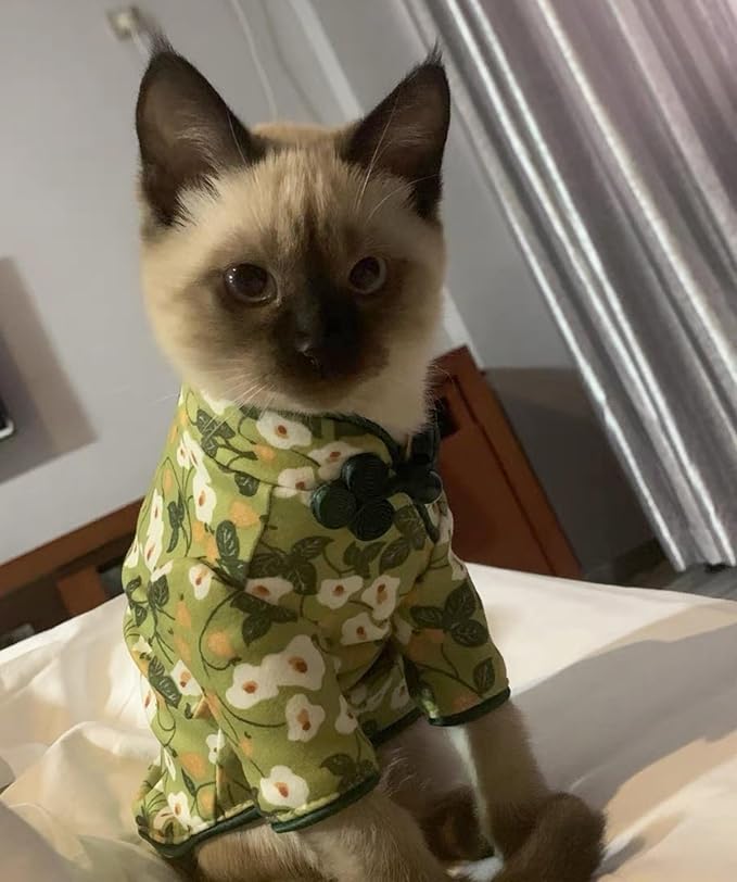 Traditional Culture Sphynx Hairless Cat Cotton T-Shirts Cat Clothes Pet Sweater Cat Vest Pet Clothes Kitten Shirts Cats & Small Dogs Apparel (White Petunia Chi-Pao, XL (9-13 lbs))