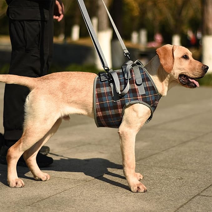 Dog Lift Harness, Adjustable Rear Leg Support Sling with Breathable Polyester, Mobility Aid for Disabled and Senior Dogs (L (20‑30kg / 44.1‑66.1lb Recommended))