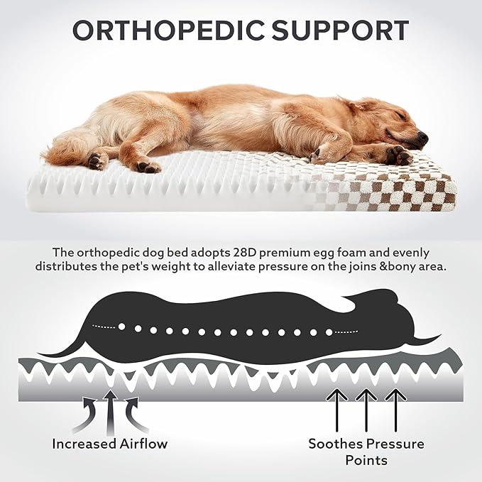 JOEJOY Dog Bed for Medium Dogs, Large Orthopedic Dog Bed with Removable Washable Cover, Cute Modern Plush & Memory Egg Crate Foam Dog Bed, 30 x 20 inch, Brown