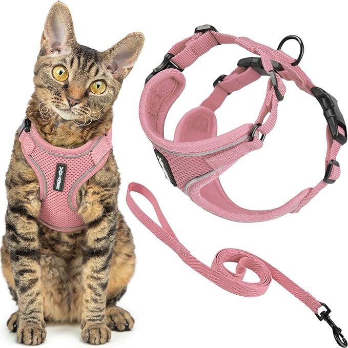 Voyager Escape-Proof Step-in Lock Cat Harness & 5ft Neoprene-Handle Leash Set All-Weather Mesh with Reflective Stitching for Small to Large Cats by Best Pet Supplies, Pink (327), XXXS