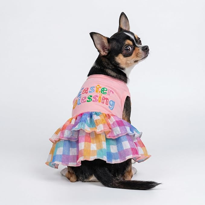 Fitwarm Easter Blessing Dog Dress, Easter Outfit for Small Dogs Girl, Colorful Pet Clothes, Pink, Blue, Orange, White, Small